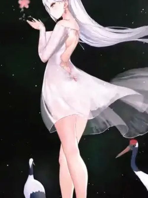 看到你的瞬间,我就决定追随在你左右动画二次元美少女可爱仙气飘飘游戏碧蓝航xian