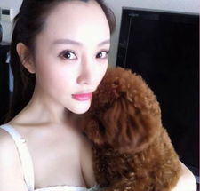 李小璐胸部演变史波涛汹涌并非一日炼成