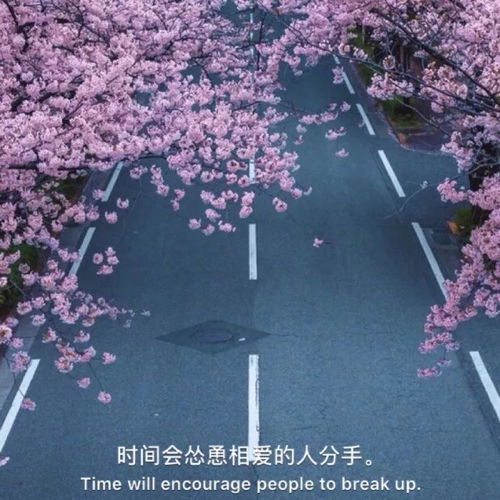 女生头像风景唯美意境唯美意境