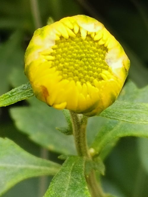 1月13日1月23日,桃花绽放,苦尽甘来,财运一路大顺的3大生肖