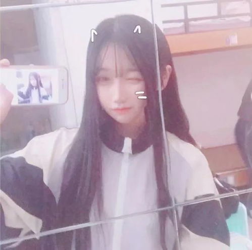 无标题