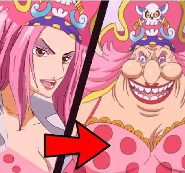 海贼王你不知道的4位美女,大妈和奈琴的魅力不输女帝汉库克
