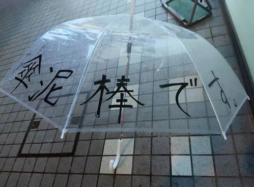 日本美少女的沙雕发明火爆全网,网友啥时候出中国版
