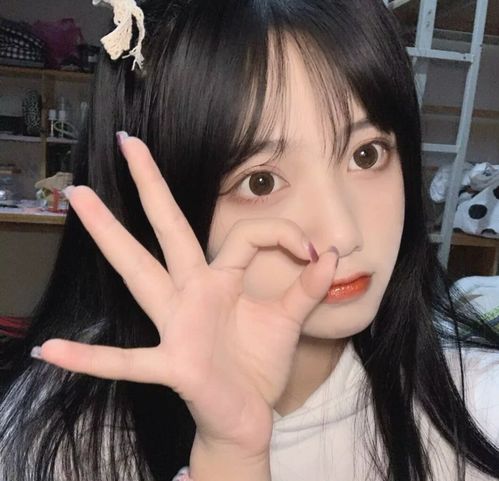 无标题
