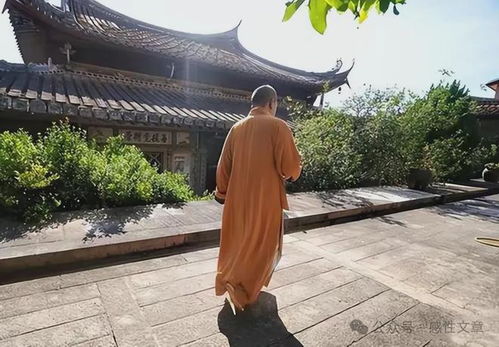 通缉犯出家混成住持,还勾搭上女尼姑,二人结婚生下一双儿女