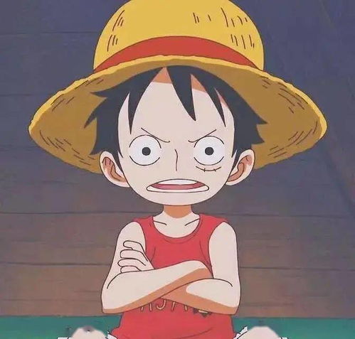壁纸头像丨海贼王