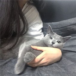女生头像可爱猫猫女生