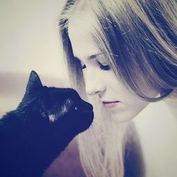 幸福是一只温暖的小狗当然还有小猫