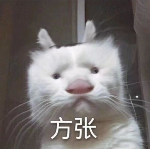 女顾客光着背按摩,男服务员突然闯入