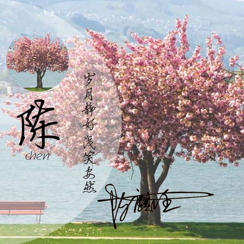 45张个性姓氏微信头像做好了,大气商务立体特效签名头像,请查收