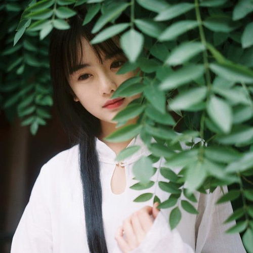 1988属龙微信好运头像女肖龙年
