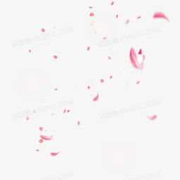漂浮樱花花瓣装饰素材图片免费下载高清png素材图精灵