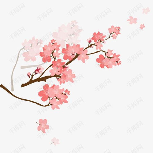 樱花花枝素材图片免费下载高清装饰图案psd千库网图片编号118176