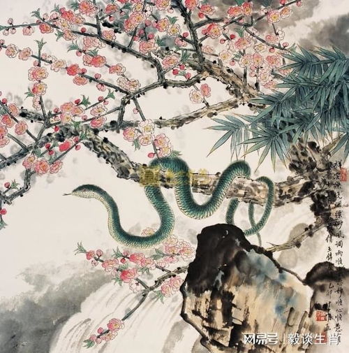 11月底,不再受到压制,3生肖好运居多,霉运不见,拥抱幸福生肖蛇生肖虎猴人蛇人网易订阅