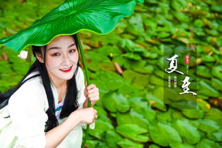 节气不看不知道,南北方的夏至美食竟然差这么多