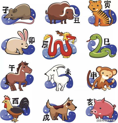 你的贵人是谁,克星又是谁一看就知道