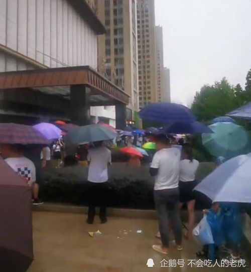 蚌埠徽州宴成网红打卡地,女子丈夫股份占90并公开露面道歉