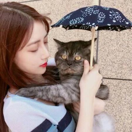 可爱呆萌女生吸猫头像好看的女生和猫咪合照