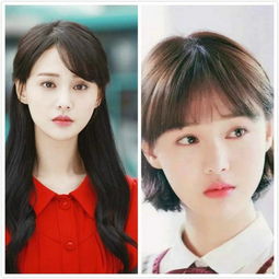 女星短发造型大比拼赵丽颖惊艳杨幂率性干练