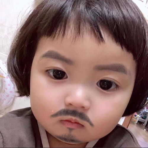 收藏夹