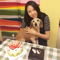女神张梓琳读信暖化朋友圈,不做大女人,一样是人生赢家