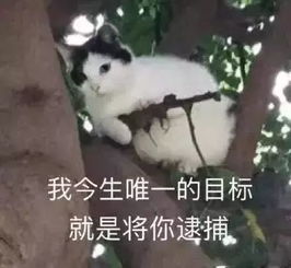 精选头像丨今日份沙雕搞怪头像