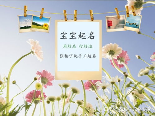 好听的女孩名字温婉大气
