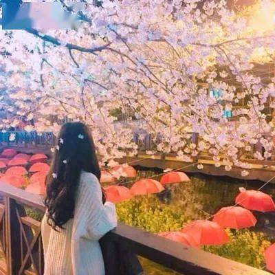 素琴妹妹作者肖固根