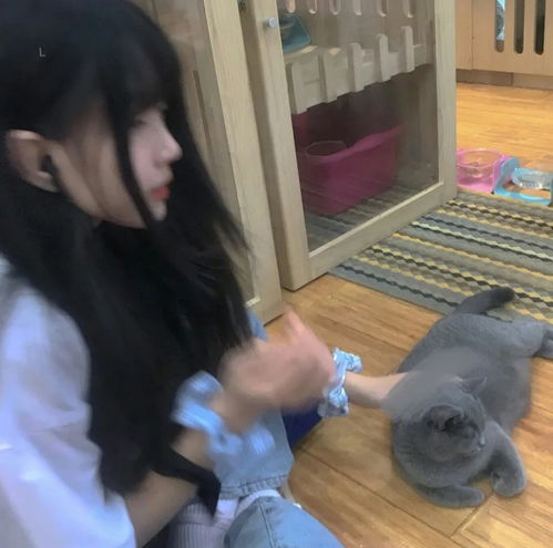 怀着爱意带着虔诚保持温柔追逐星星女生头像