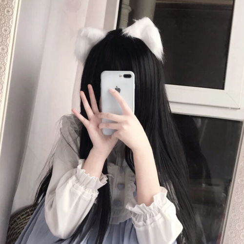 无标题