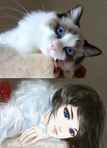 超q超可爱的猫狗拟人化古风插画,每一张都是可以超美的存在