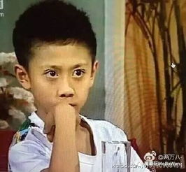 欲加之罪是说你家啥坏了爸妈都赖你