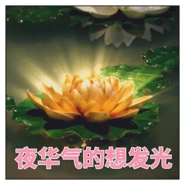 这部剧男主再不出现,估计就没他啥事了
