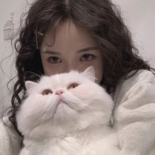 大家有什么好看的头像嘛女生的或者情头都可以谢谢啦