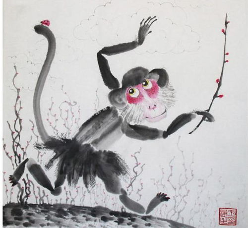 猴朋友终生寿命,注意了,老人说了一个接一个准