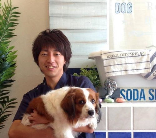 如今女生喜欢养大型犬,男生则偏爱小型犬,啥原因
