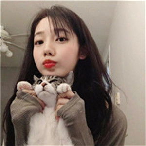 女生抱着猫很酷的头像美女与猫你到底喜欢那个