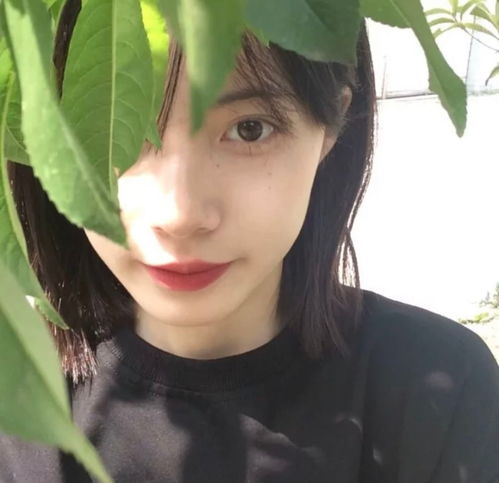 是你喜欢的女头