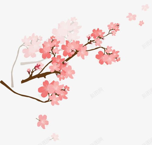 樱花花枝创意素材手绘樱花素材