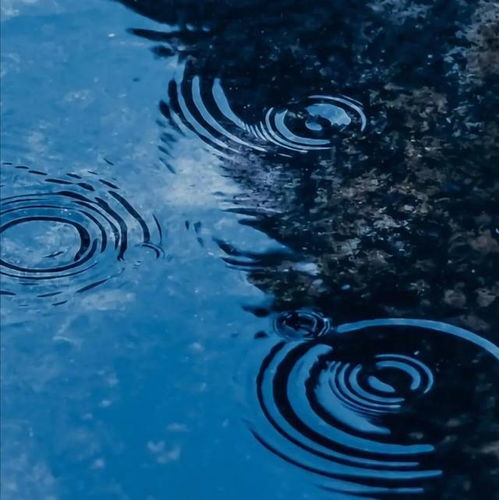 雨天不好拍照掌握这6个技巧阴雨天也能出好片