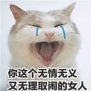 你的猫晚上会跑酷吗