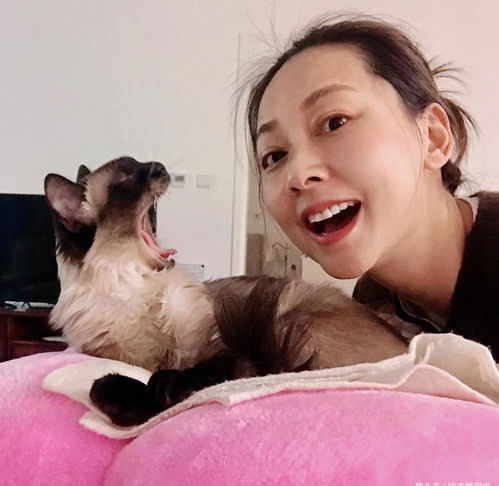 张卫健46岁妻子张茜素颜近照曝光逆龄生长宛如少女,安心做富太