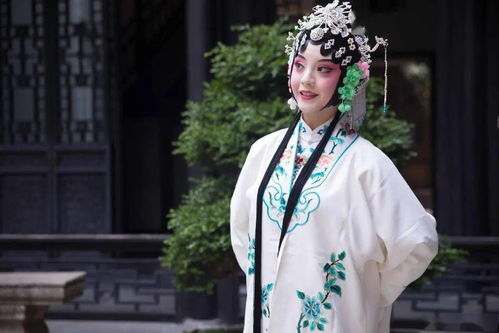 人民网点名称赞00后汉服女孩火出圈还原古典名著美人,神韵超到位网友真是一眼万年