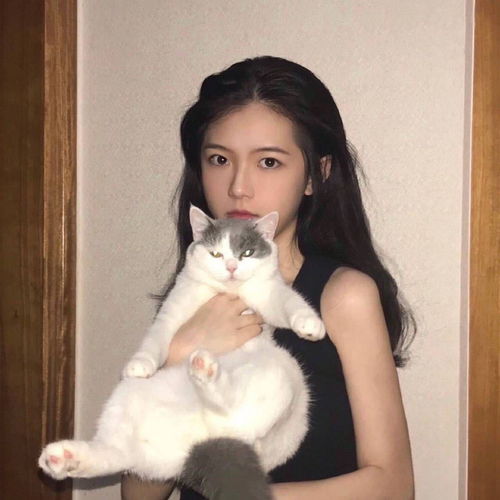 温柔风女头公主和她的猫
