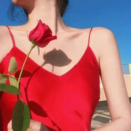 头像女生独善其身