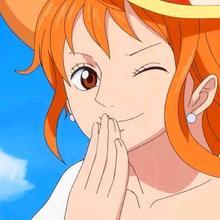 娜美海贼王之美女守护者