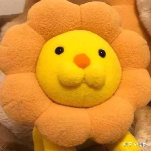 a3驾驶证科目一还没考试可以直接科目二练车吗