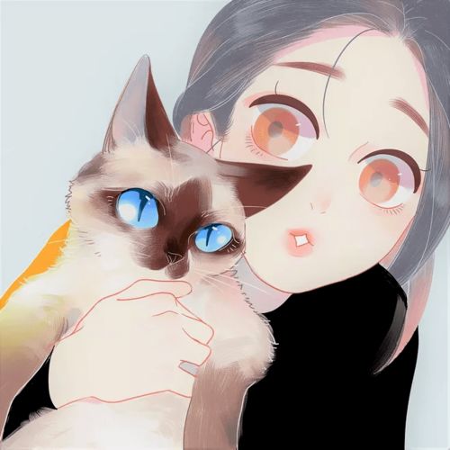 冬天了该看韩剧了