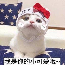 这家理发店太无耻,理个发都要按根算了轻松一刻11月19日晚间版