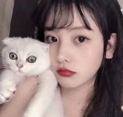 女生在qq上这样回复你,不用怀疑,她对你动心了